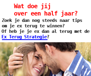 Wat doe jij over een half jaar?
